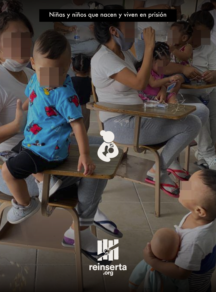 Reinserta Reinserta - Transformamos vidas marcadas por la violencia – REINSERTA